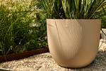 sereh rond 47cm paddenstoel beige